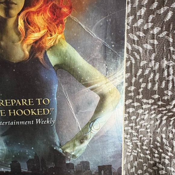 City of Ashes by Cassandra Clare - Black and Gray Cover - Picture 2 of 3